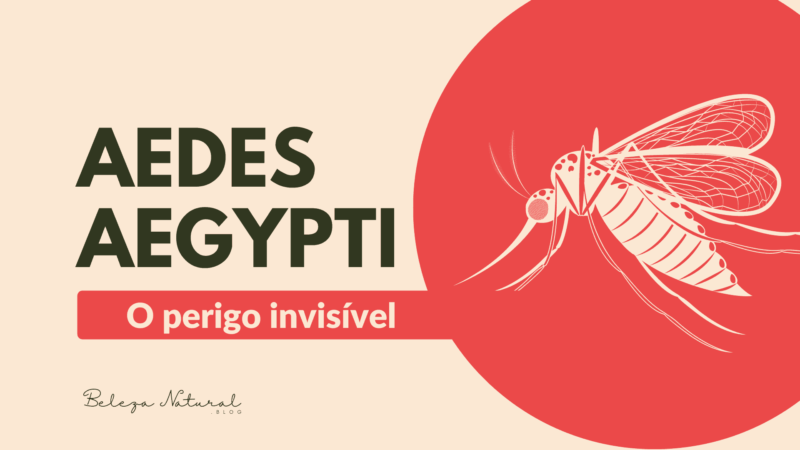 Ilustração do mosquito Aedes aegypti com o texto "O perigo invisível"